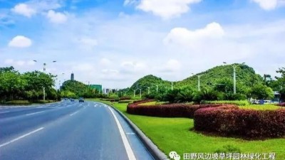 道路綠化中，城市干道植物應怎樣配置？