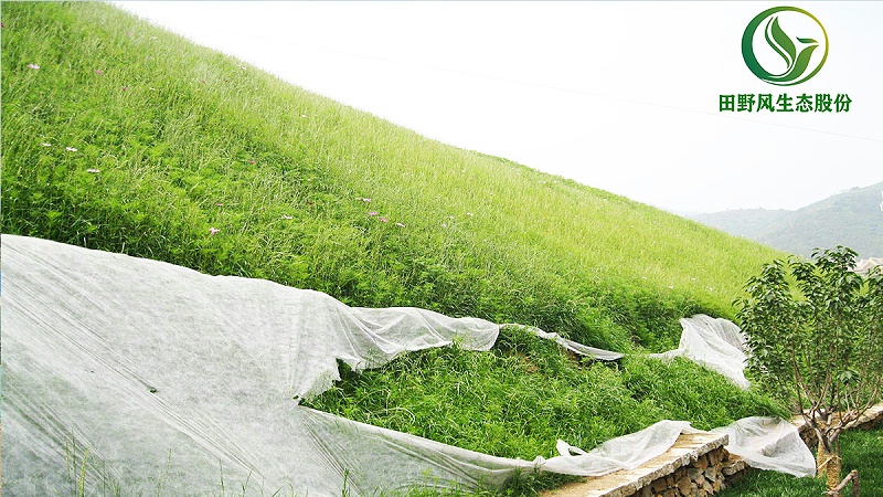 邊坡綠化、生態(tài)防護(hù)