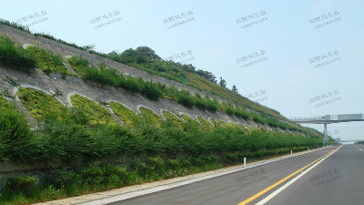 高速公路邊坡綠化植物種類(lèi)如何選擇搭配