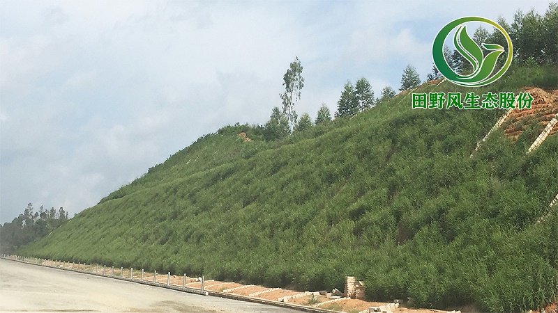 高速公路綠化，生態(tài)防護