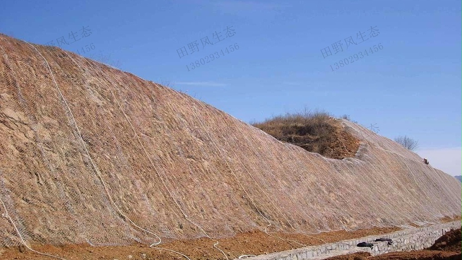 邊坡綠化植草技術(shù)