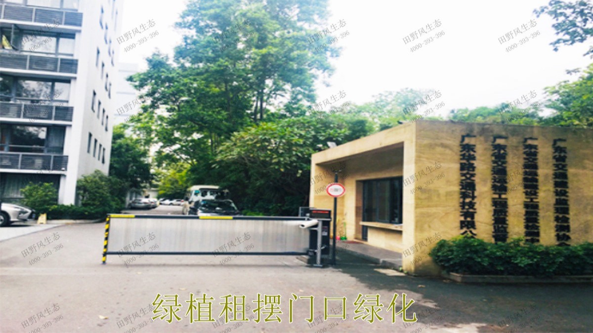 花卉植物租擺,廣東省交通運輸建設(shè)工程質(zhì)量檢測中心