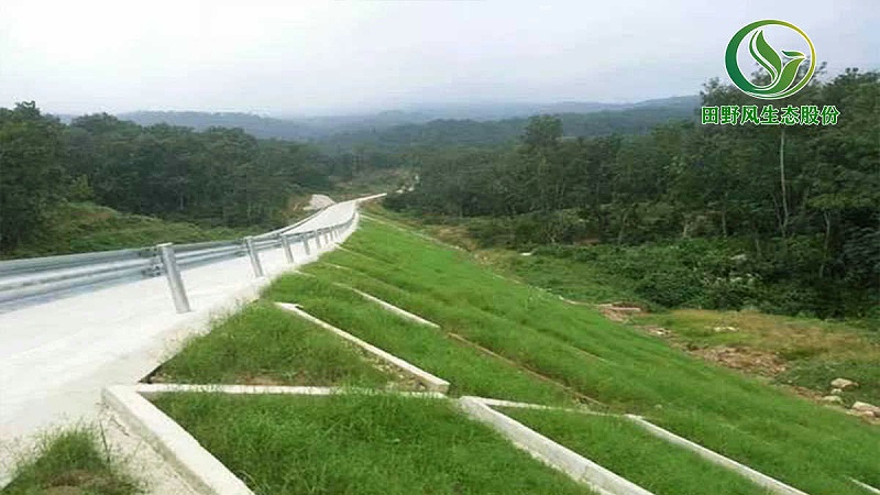 生態(tài)修復(fù)工程