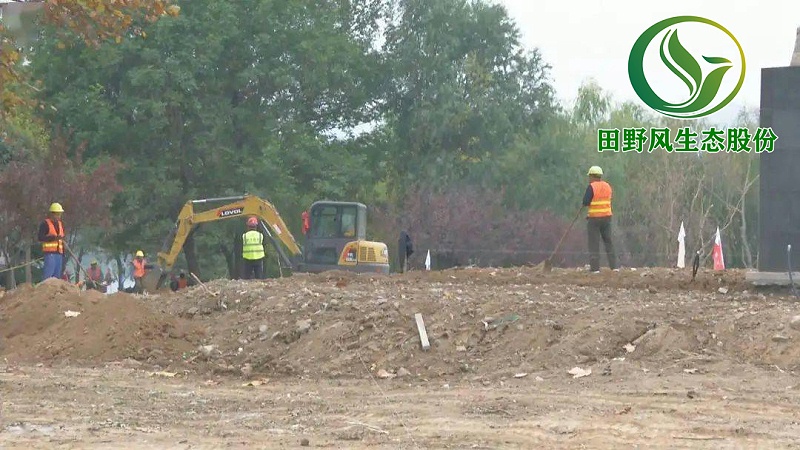 園林綠化，景觀綠化