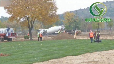 濱州鄒平升級(jí)景觀綠化建設(shè)，打造綠色生態(tài)景觀