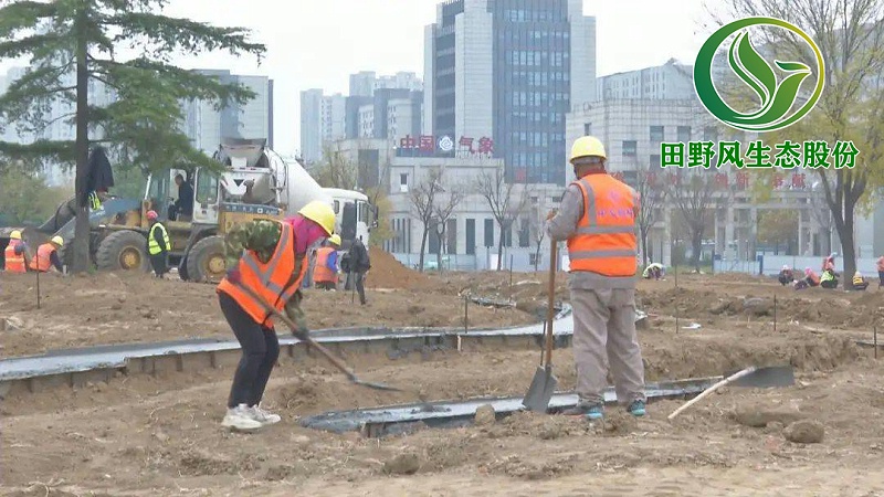 園林綠化，景觀綠化