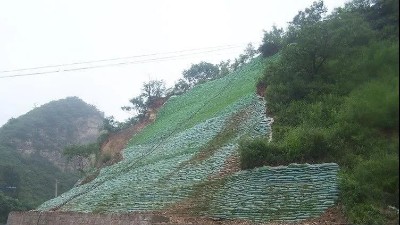 生態(tài)袋——環(huán)境保護(hù)、生態(tài)綠化、水土保持三位一體的生態(tài)護(hù)坡系統(tǒng)