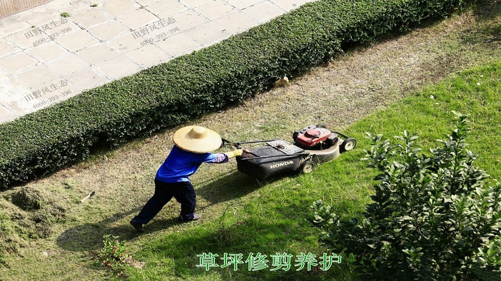 盆栽花卉租擺,中山醫(yī)科大學第一附屬醫(yī)院