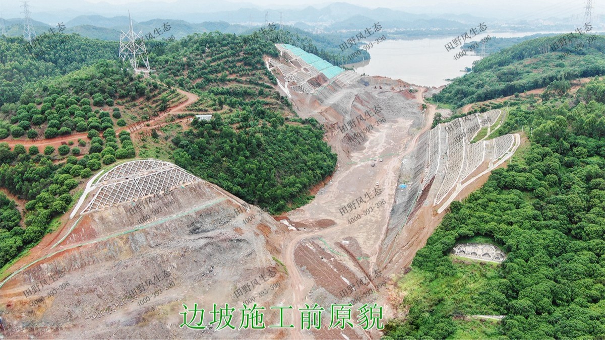 武深高速?gòu)V東段高速公路邊坡噴草