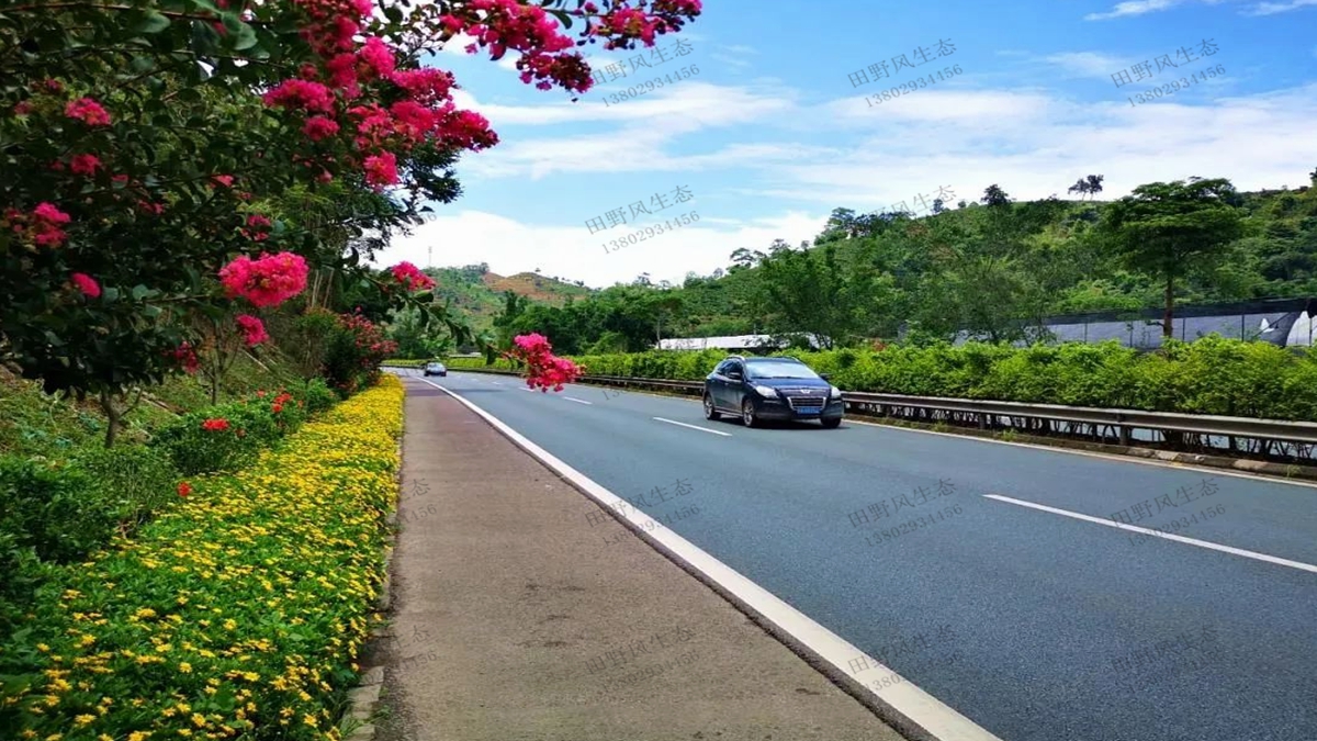 道路綠化植物應該如何配置？