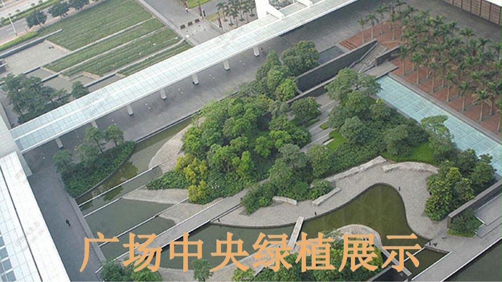 廣州保利國(guó)際廣場(chǎng)植物出租案例