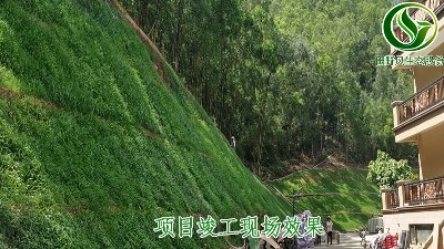 東莞市國際公館邊坡綠化工程今日?qǐng)A滿驗(yàn)收