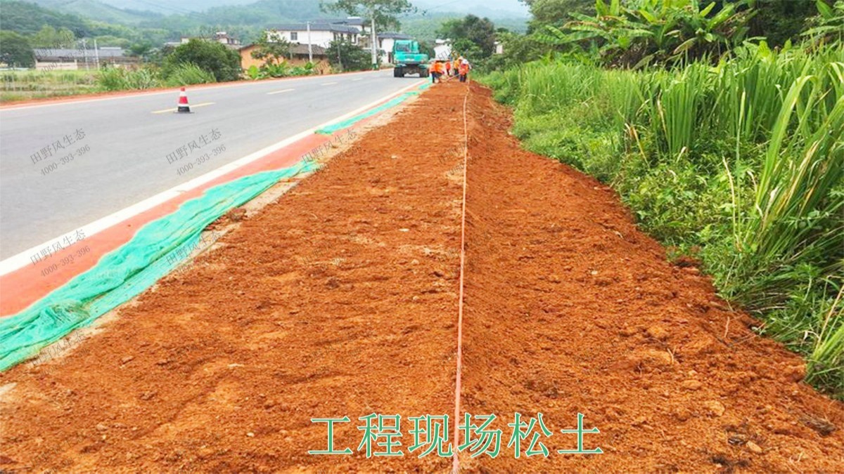 贛州全南公路市政道路工程