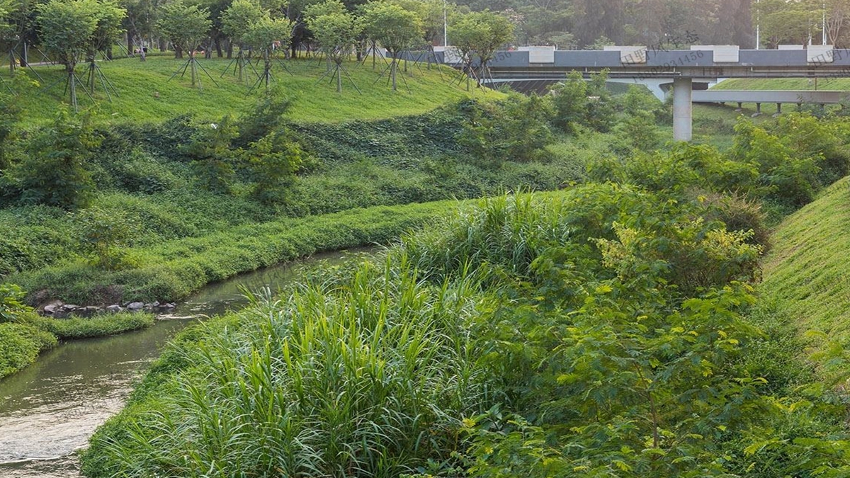 河道生態(tài)護(hù)坡綠化