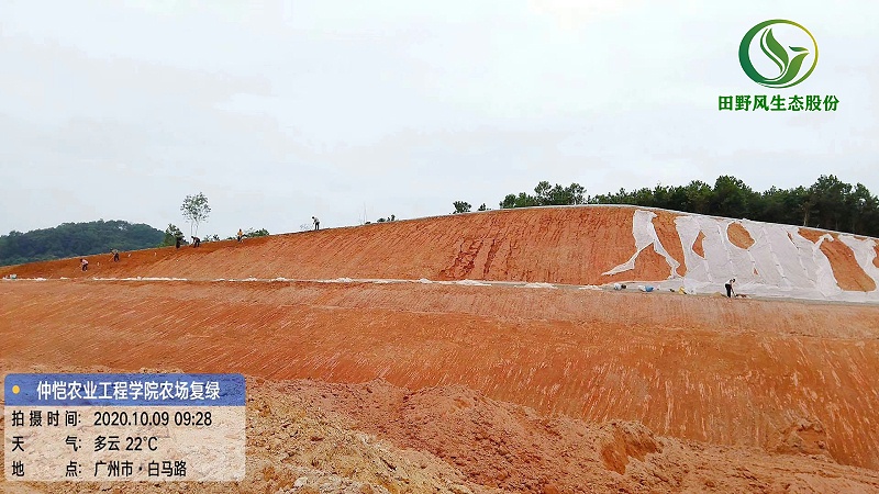 山體邊坡綠化