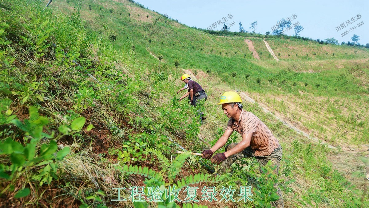 梅汕高鐵潮汕段鐵路邊坡修復(fù)工程