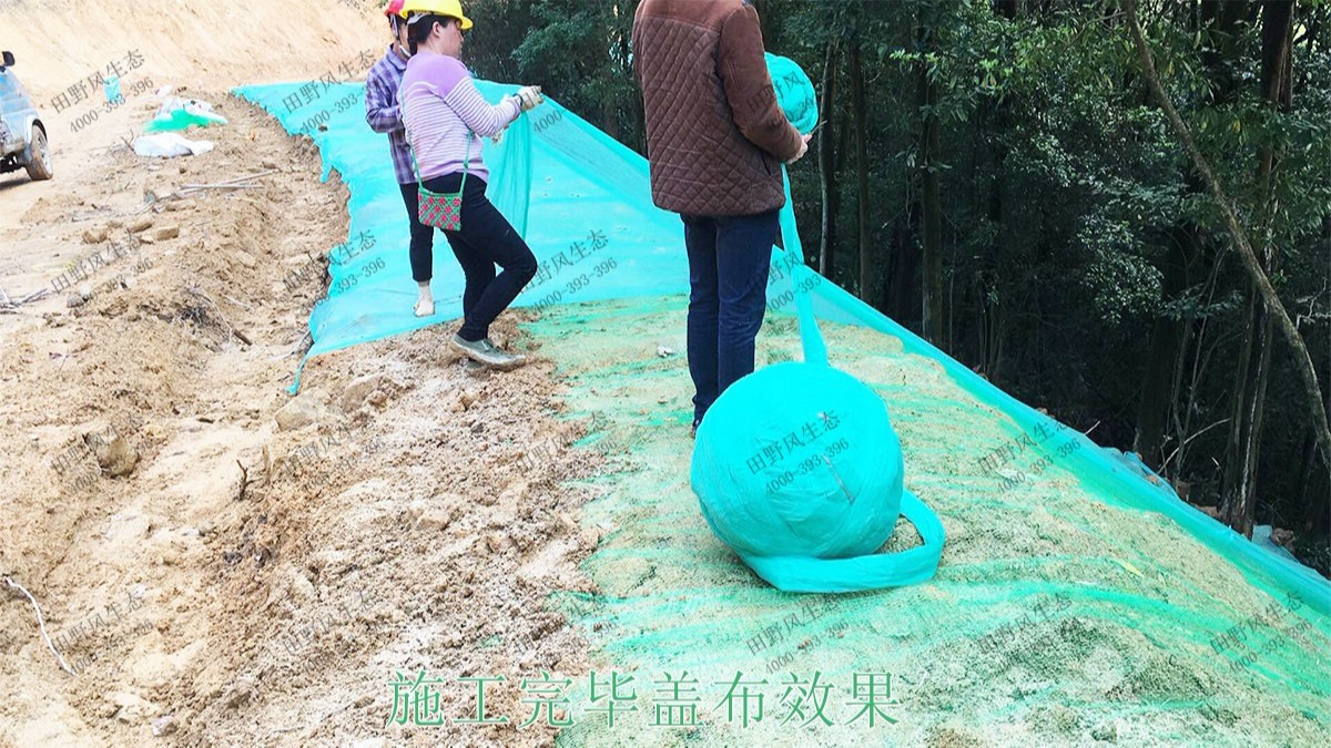 廣州白水山森林公園生態(tài)修復(fù)