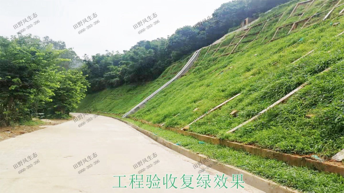 廣州白水山森林公園生態(tài)修復(fù)