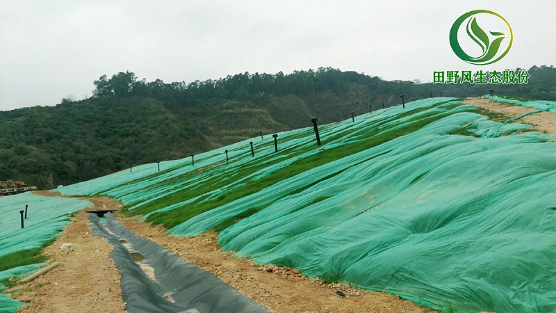 邊坡綠化,生態(tài)復綠