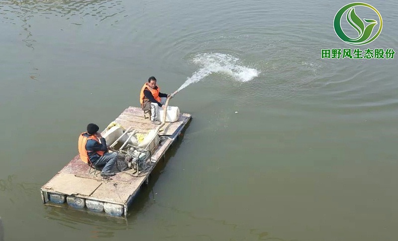 河道生態(tài)修復(fù),河道生態(tài)護坡