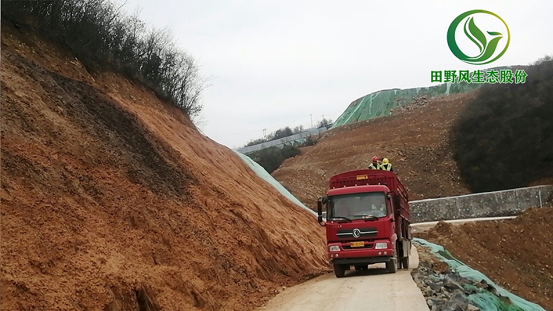 客土噴播,護坡綠化