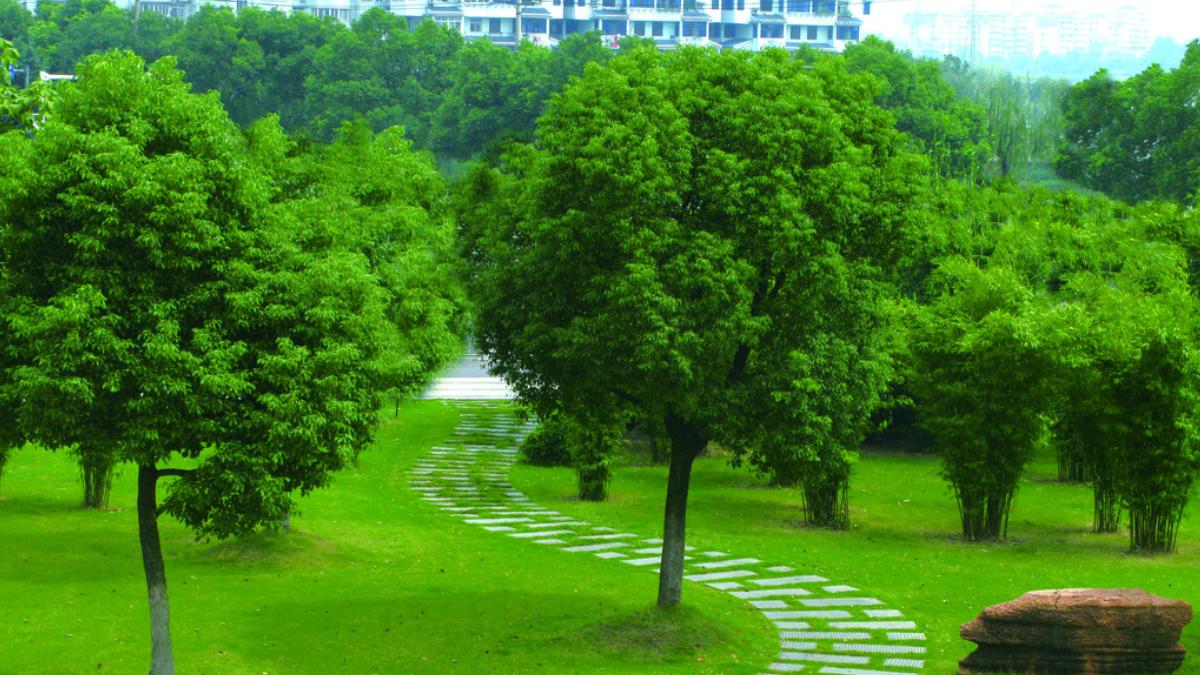 六大園林綠化實用養(yǎng)護技能，你一定要知道！